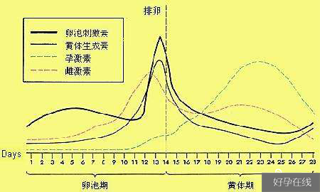 图解黄体期促排卵