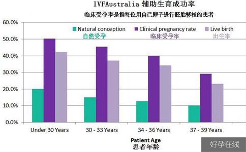 试管婴儿成功率