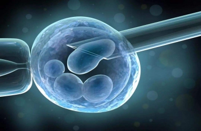 湖南格鲁吉亚ReproArt诊所专家解释取卵对卵巢的伤害大吗？