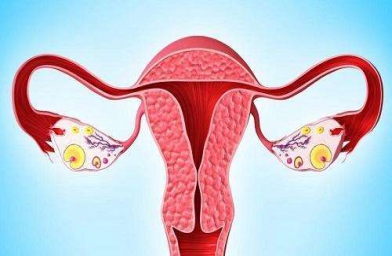 湖南格鲁吉亚ReproArt诊所专家解释取卵后卵巢该如何保养？
