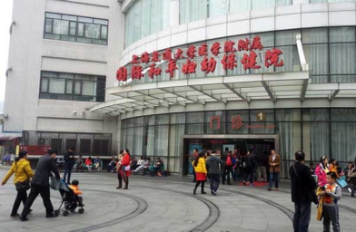 湖南上海做试管助孕，上海国妇婴试管婴儿成功率和费用是怎样？